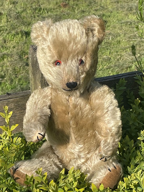 Childhood Bears 1940s-1960s – Old Teddy Bear Shop